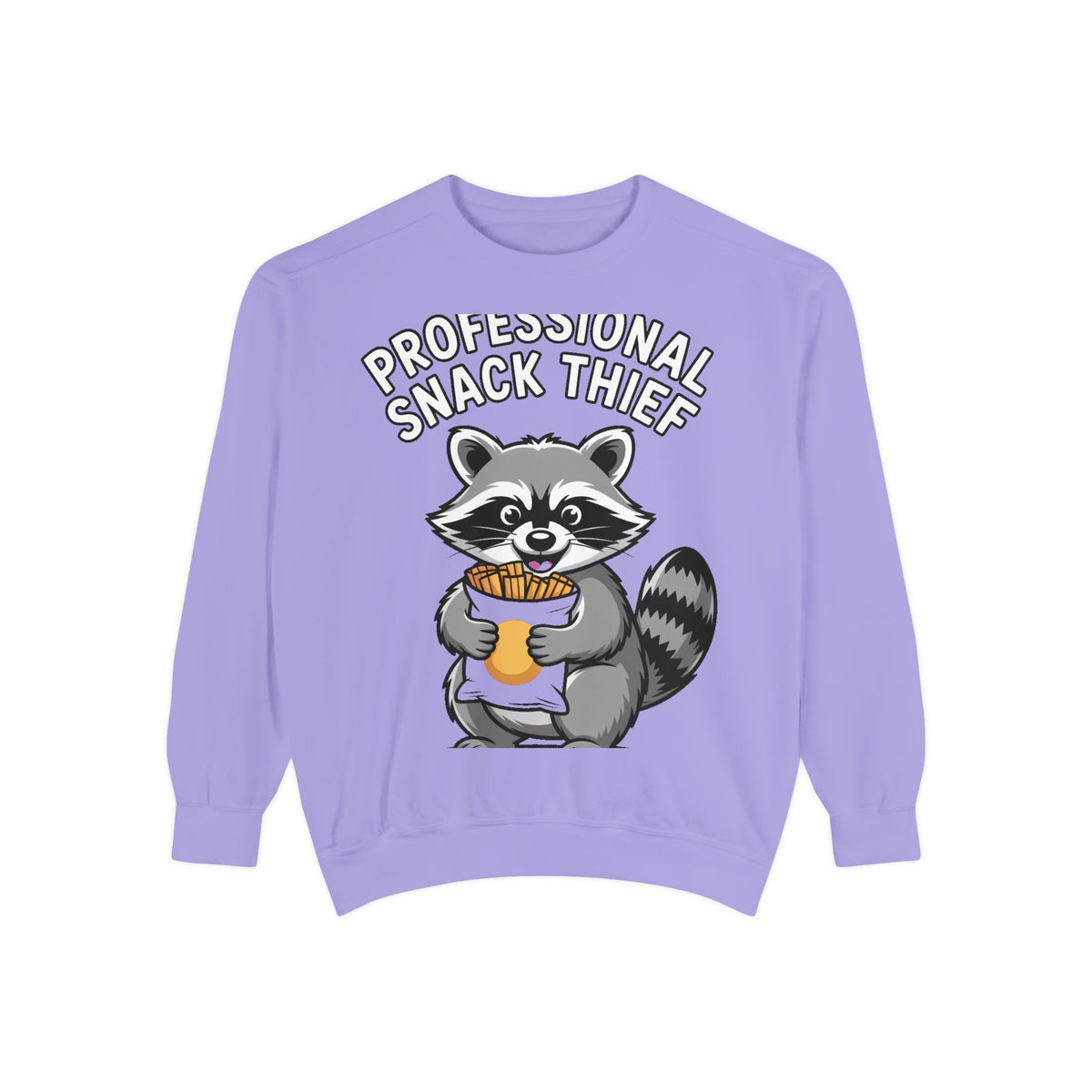 Professional Snack Thief Sweatshirt, Funny Raccoon Crewneck, Cute Raccoon Chip Bandit Sweatshirt, Snack Lover Gift