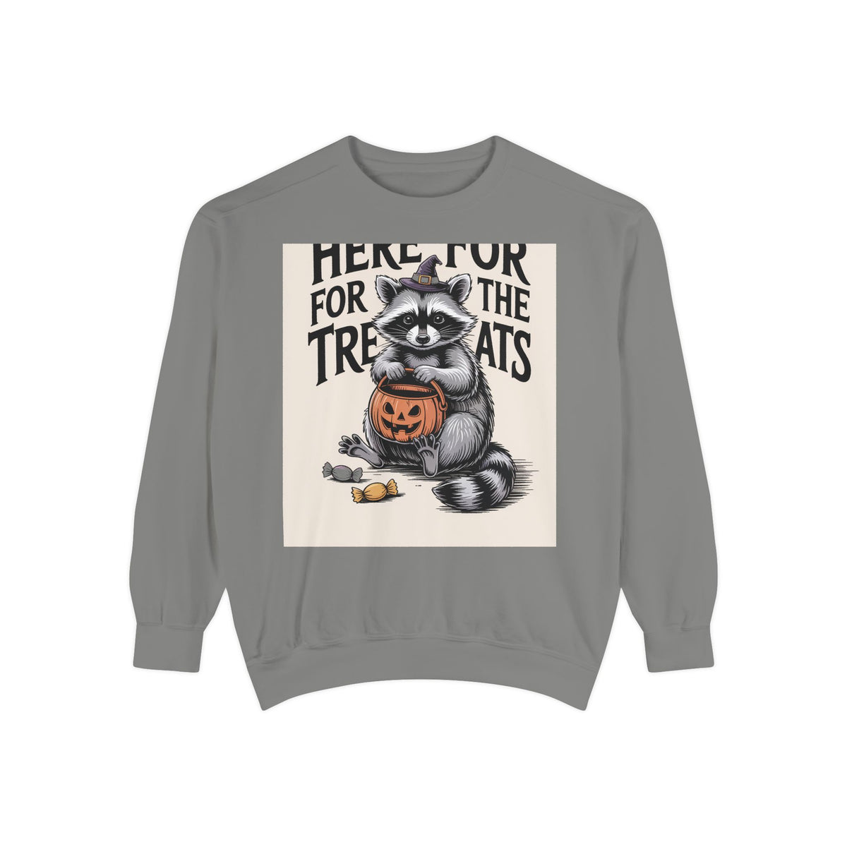 Here For The Treats Raccoon Sweatshirt, Funny Halloween Crewneck, Vintage Witch Raccoon Candy Sweatshirt, Spooky Season Gift