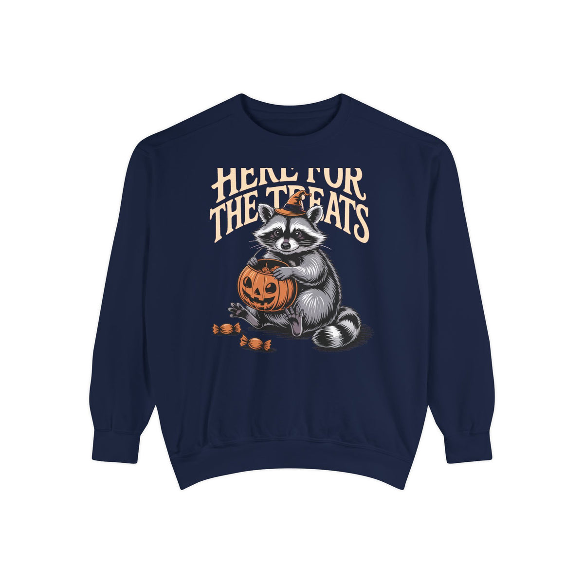 Here For The Treats Raccoon Sweatshirt, Funny Halloween Crewneck, Vintage Trick Or Treat Raccoon Shirt, Spooky Season Gift