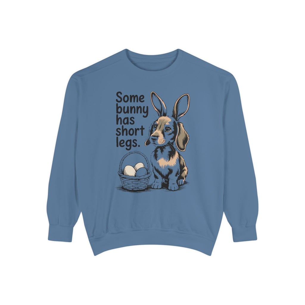 Dachshund Owner Sweatshirt, Some Bunny Has Short Legs, Funny Easter Gift For Dog Mom, Wiener Dog Easter Sweatshirt, Dachshund Easter Tee