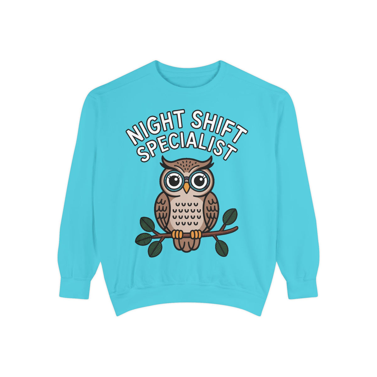 Night Shift Owl Sweatshirt, Funny Night Owl Crewneck, Night Shift Specialist Gift, Cute Bird Lover Sweatshirt, Nurse Gift
