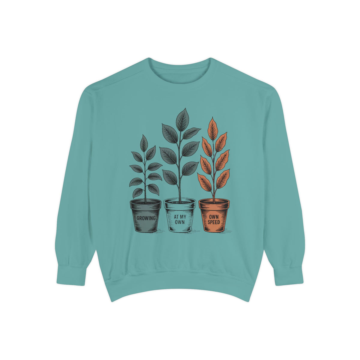 Self Encouragement Sweatshirt, Growing At My Own Speed Crewneck, Positive Affirmation Gift, Faith Based Sweatshirt, Personal Growth Gift Fo…