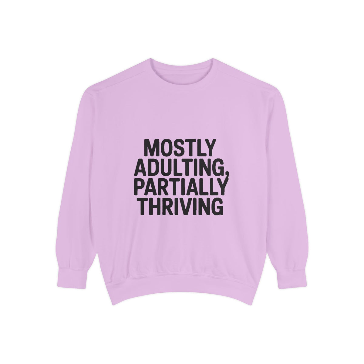 Mostly Adulting Partially Thriving Sweatshirt, Funny Embroidered Crewneck, Sarcastic Adult Life Gift, Minimalist Text Sweatshirt