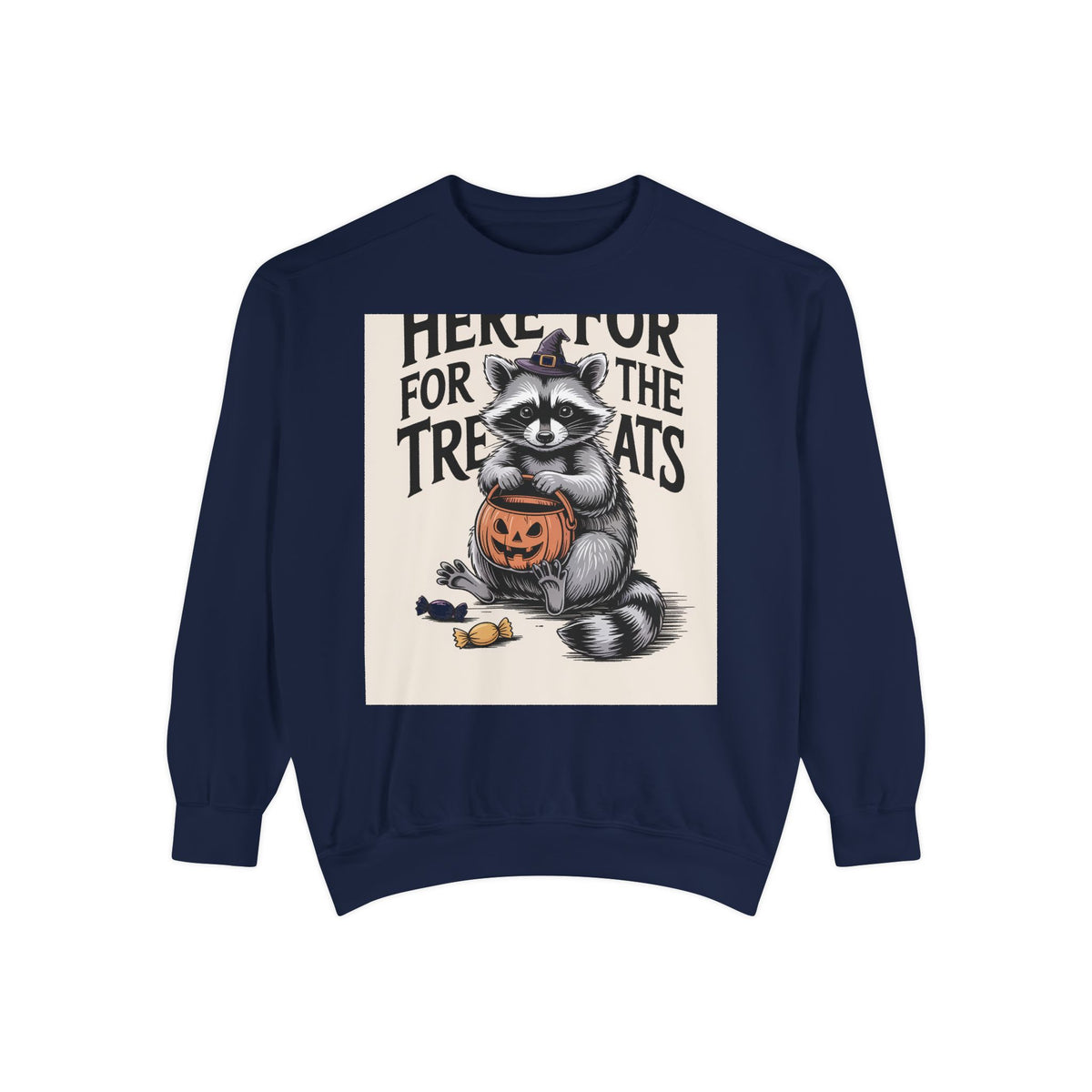 Here For The Treats Raccoon Sweatshirt, Funny Halloween Crewneck, Vintage Witch Raccoon Candy Sweatshirt, Spooky Season Gift