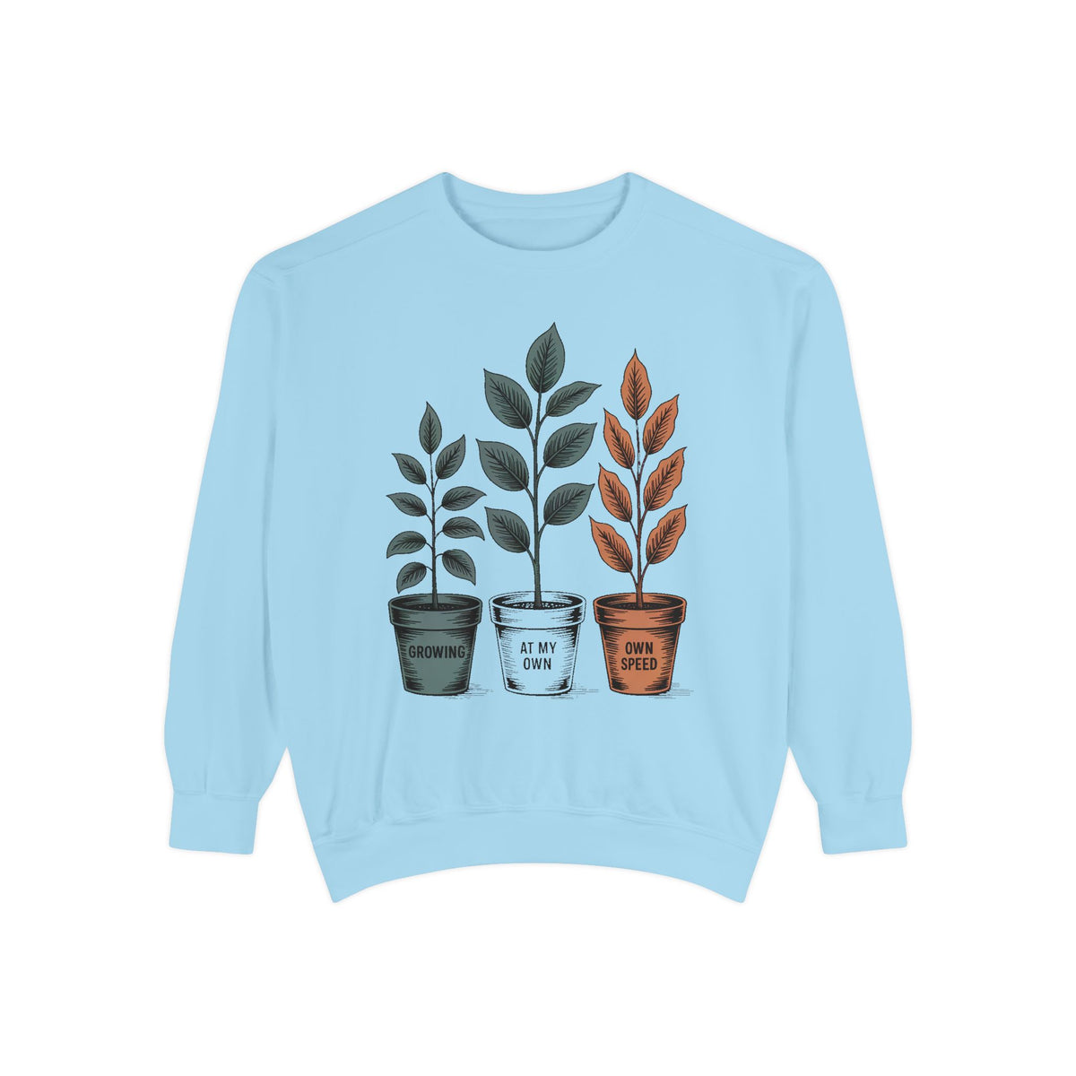 Self Encouragement Sweatshirt, Growing At My Own Speed Crewneck, Positive Affirmation Gift, Faith Based Sweatshirt, Personal Growth Gift Fo…