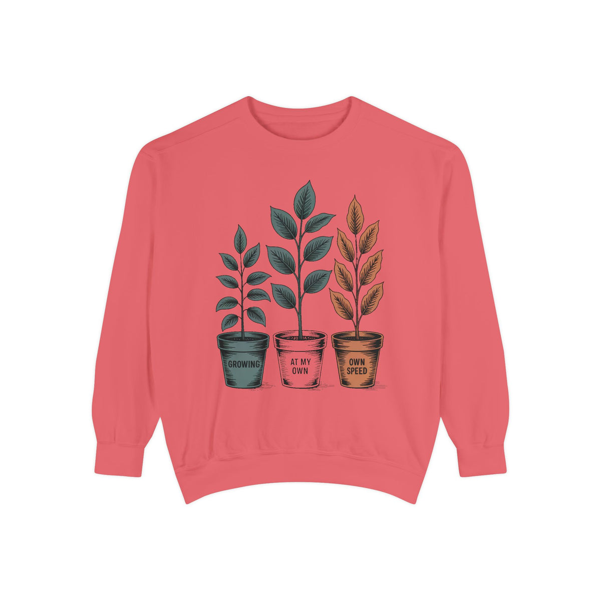 Self Encouragement Sweatshirt, Growing At My Own Speed Crewneck, Positive Affirmation Gift, Faith Based Sweatshirt, Personal Growth Gift Fo…
