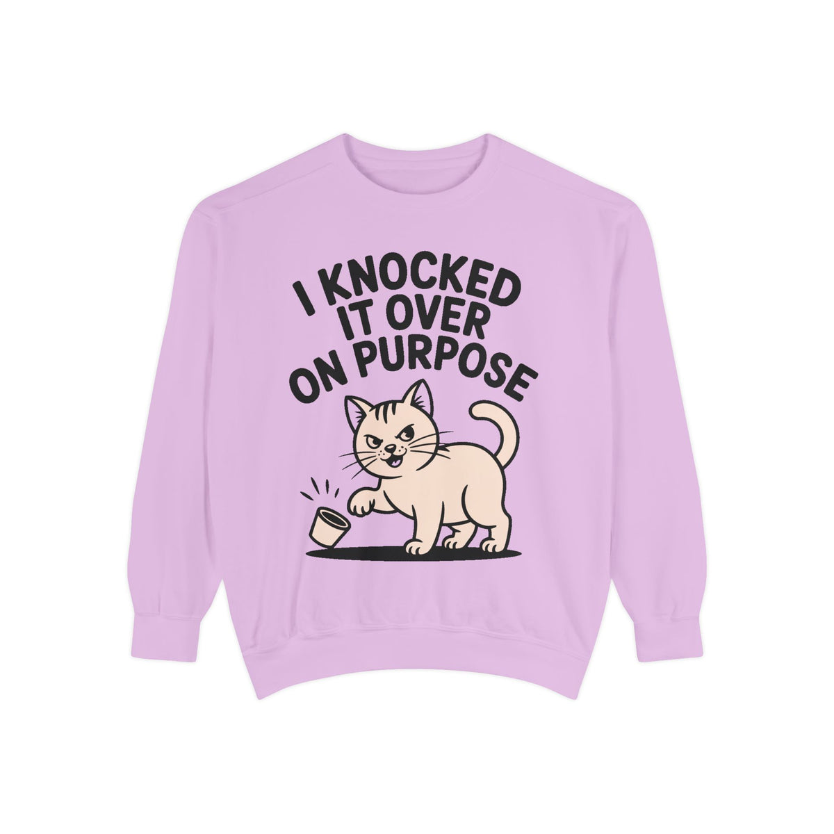 Funny Cat Sweatshirt, I Knocked It Over On Purpose Crewneck, Cute Cat Lover Gift, Embroidered Patch Style Cat Sweatshirt