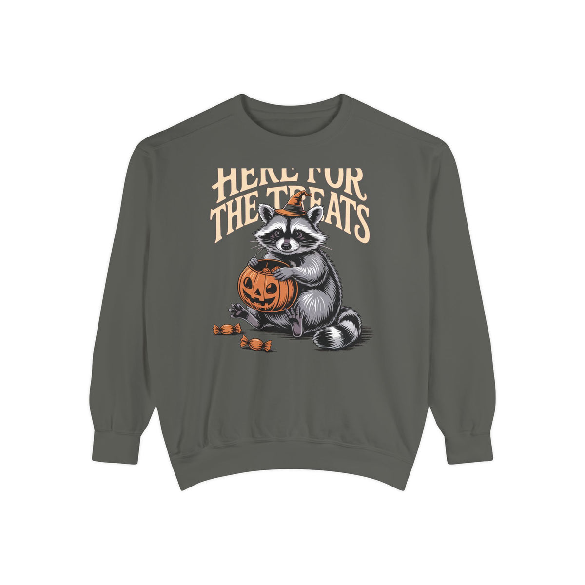 Here For The Treats Raccoon Sweatshirt, Funny Halloween Crewneck, Vintage Trick Or Treat Raccoon Shirt, Spooky Season Gift