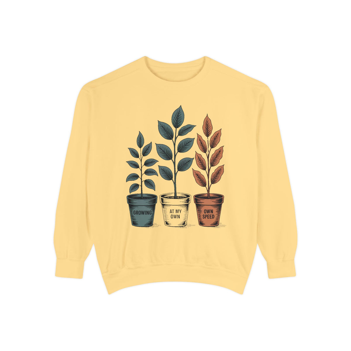 Self Encouragement Sweatshirt, Growing At My Own Speed Crewneck, Positive Affirmation Gift, Faith Based Sweatshirt, Personal Growth Gift Fo…