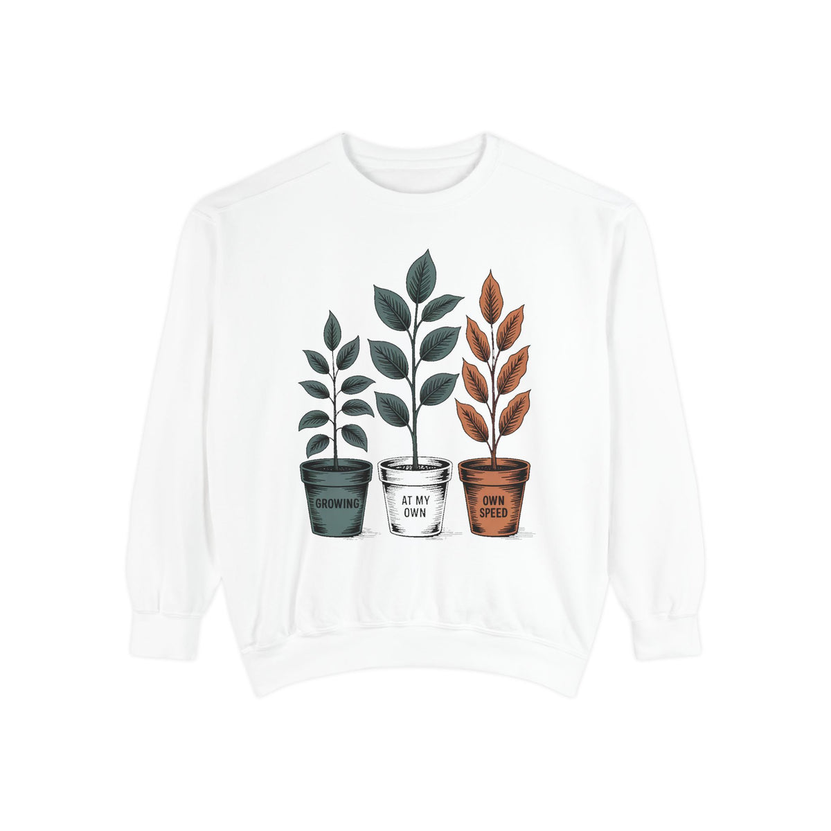 Self Encouragement Sweatshirt, Growing At My Own Speed Crewneck, Positive Affirmation Gift, Faith Based Sweatshirt, Personal Growth Gift Fo…