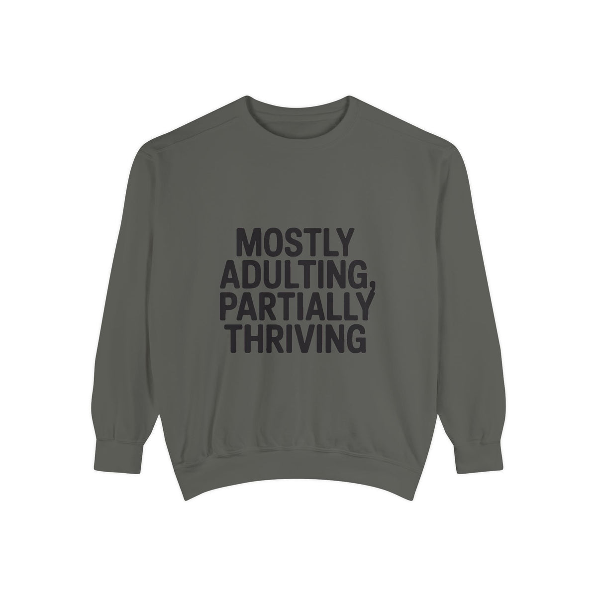 Mostly Adulting Partially Thriving Sweatshirt, Funny Embroidered Crewneck, Sarcastic Adult Life Gift, Minimalist Text Sweatshirt