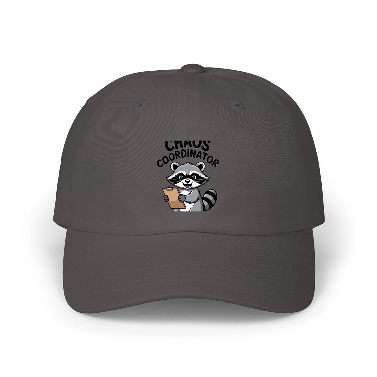 Raccoon Chaos Coordinator Dad Hat, Funny Raccoon Embroidered Cap, Chaos Coordinator Gift, Cute Raccoon Baseball Hat, Unisex Dad Cap