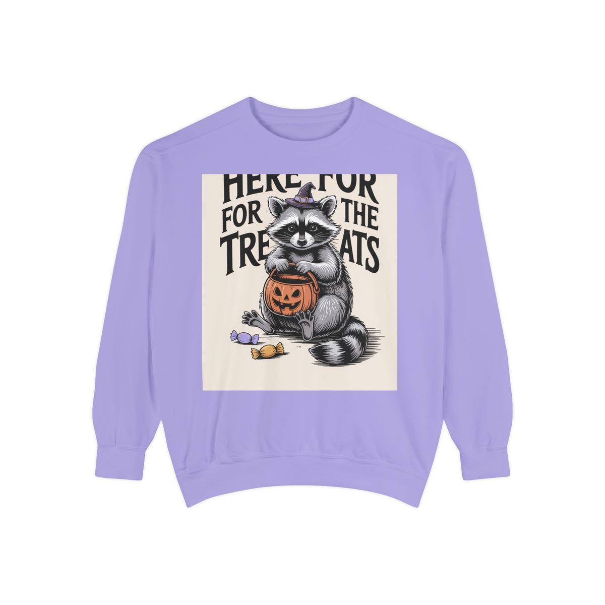 Here For The Treats Raccoon Sweatshirt, Funny Halloween Crewneck, Vintage Witch Raccoon Candy Sweatshirt, Spooky Season Gift