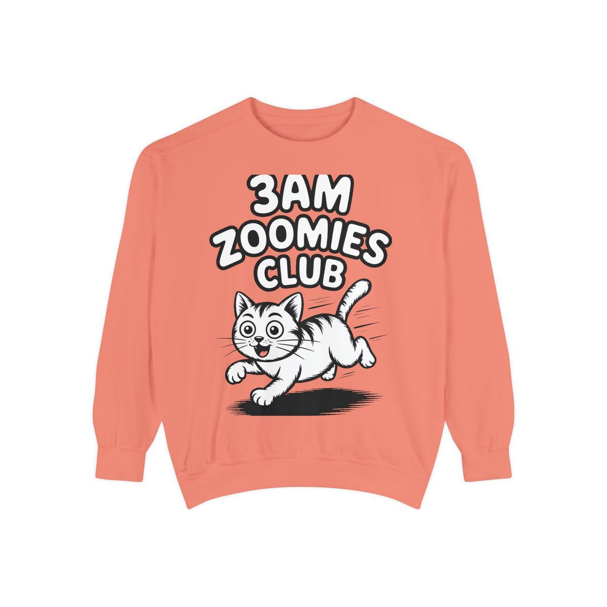 3AM Zoomies Club Sweatshirt, Funny Cat Crewneck, Cute Crazy Cat Lover Gift, Embroidered Patch Style Cat Sweatshirt