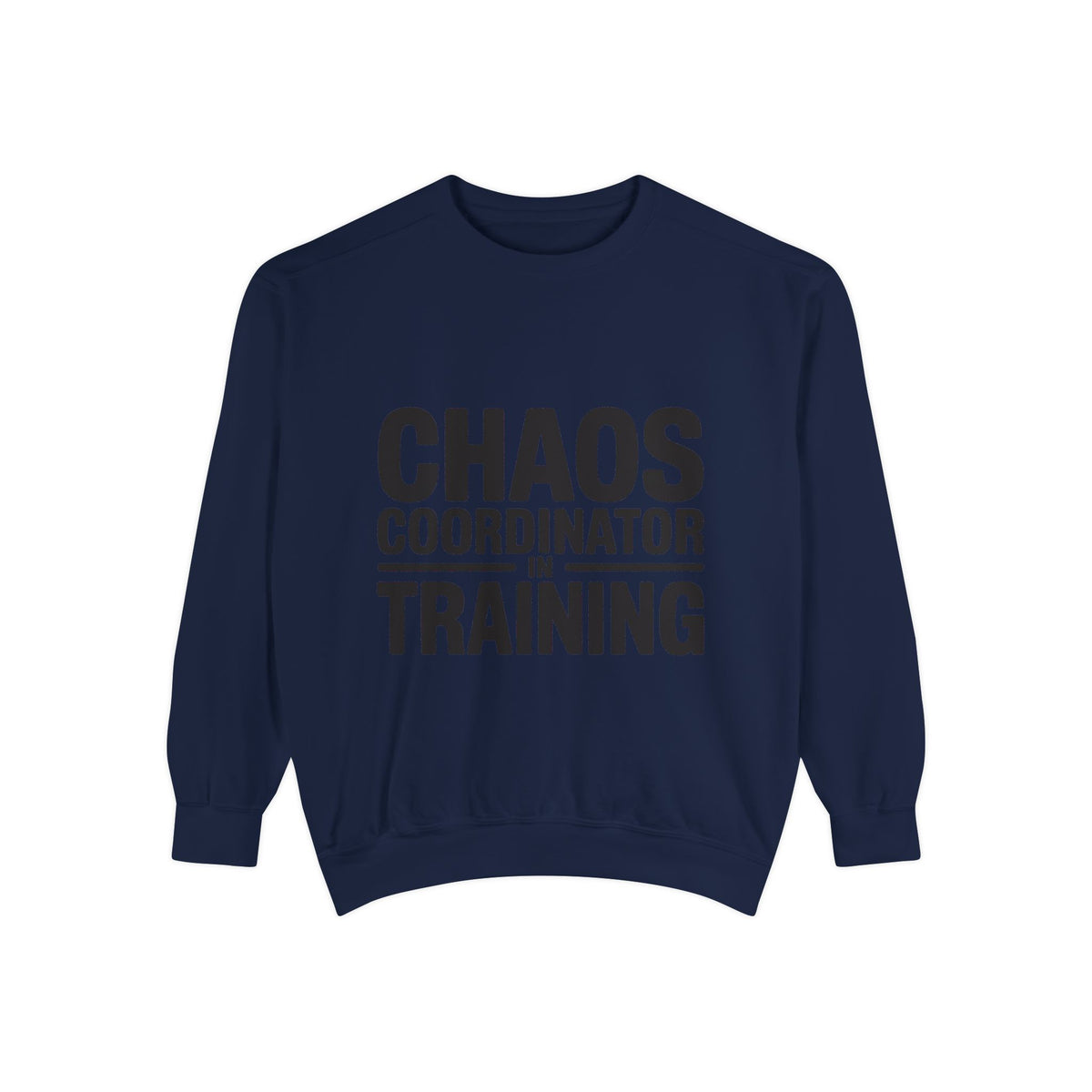 Chaos Coordinator In Training Sweatshirt, Funny Mom Crewneck, Embroidered Style Bold Text Sweatshirt, Teacher Nurse Gift