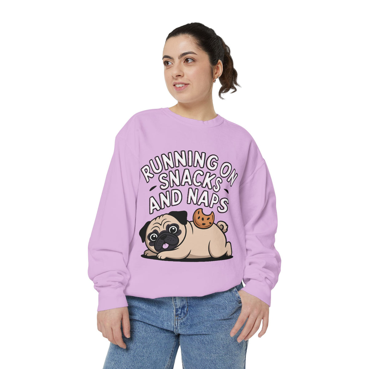 Pug Sweatshirt, Funny Running On Snacks And Naps Crewneck, Cute Pug Lover Gift, Embroidered Patch Style Dog Sweater