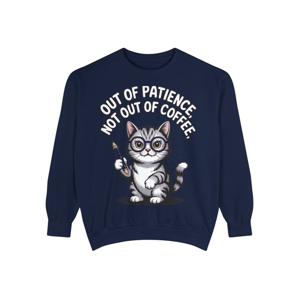 Teacher Cat Sweatshirt, Funny Cat Teacher Crewneck, Out Of Patience Not Out Of Coffee Shirt, Teacher Gift, Cat Lover Sweatshirt