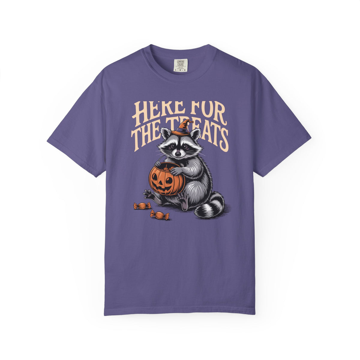 Here For The Treats Raccoon Shirt, Funny Halloween T-Shirt, Vintage Trick Or Treat Tee, Spooky Season Raccoon Gift