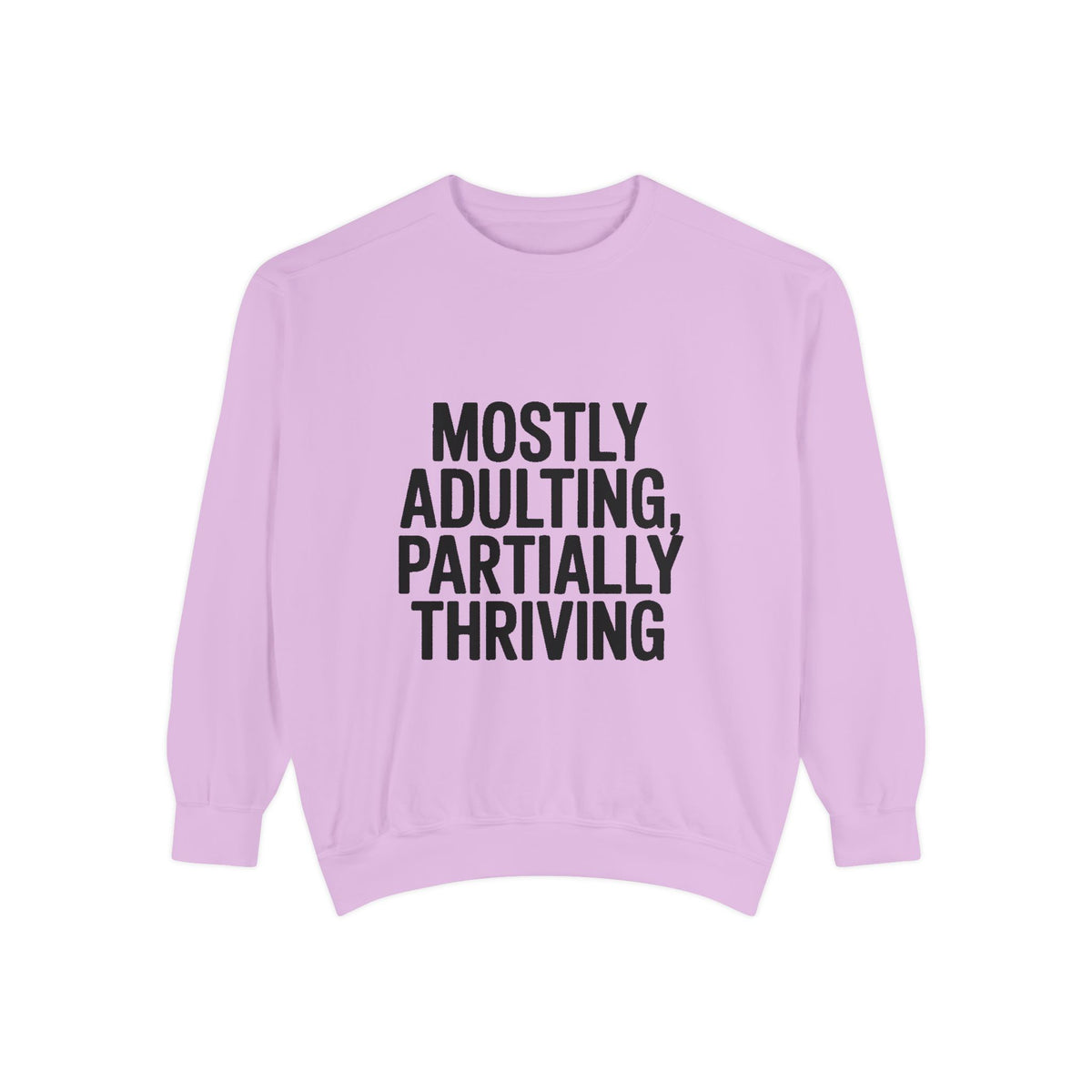 Mostly Adulting Partially Thriving Sweatshirt, Funny Embroidered Crewneck, Sarcastic Adult Life Sweatshirt, Trendy Minimalist Gift