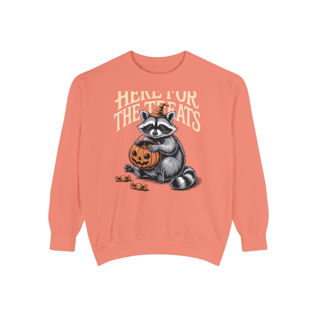 Here For The Treats Raccoon Sweatshirt, Funny Halloween Crewneck, Vintage Trick Or Treat Raccoon Shirt, Spooky Season Gift