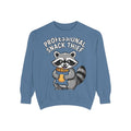 Professional Snack Thief Sweatshirt, Funny Raccoon Crewneck, Cute Raccoon Chip Bandit Sweatshirt, Snack Lover Gift