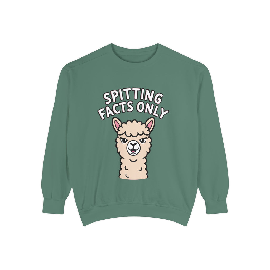 Alpaca Spitting Facts Sweatshirt, Funny Sassy Alpaca Crewneck, Cute Embroidered-Style Animal Sweatshirt, Alpaca Lover Gift