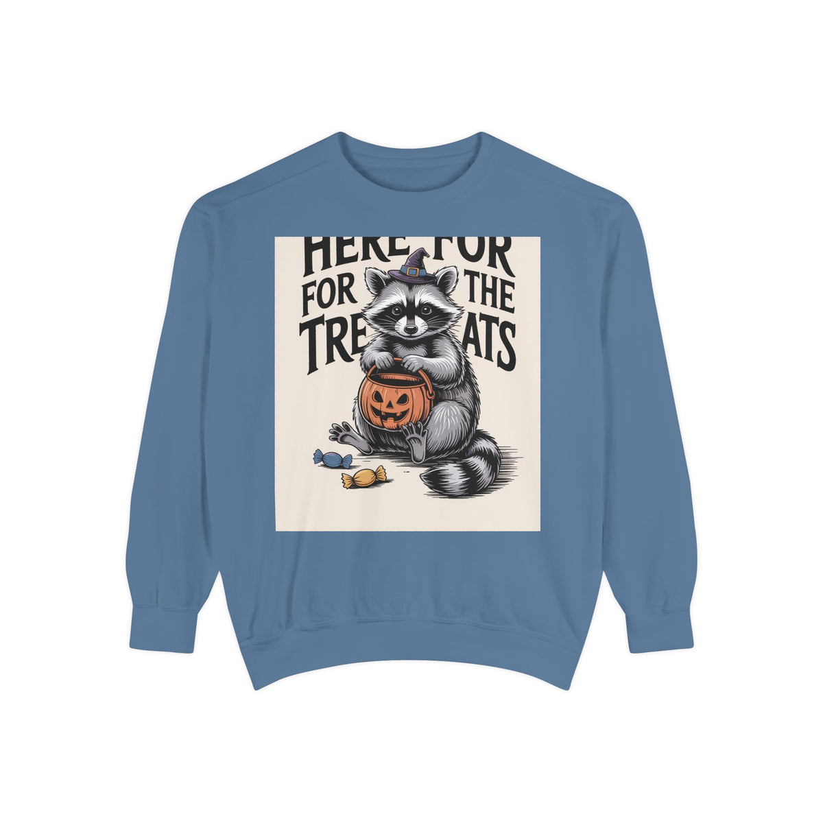 Here For The Treats Raccoon Sweatshirt, Funny Halloween Crewneck, Vintage Witch Raccoon Candy Sweatshirt, Spooky Season Gift