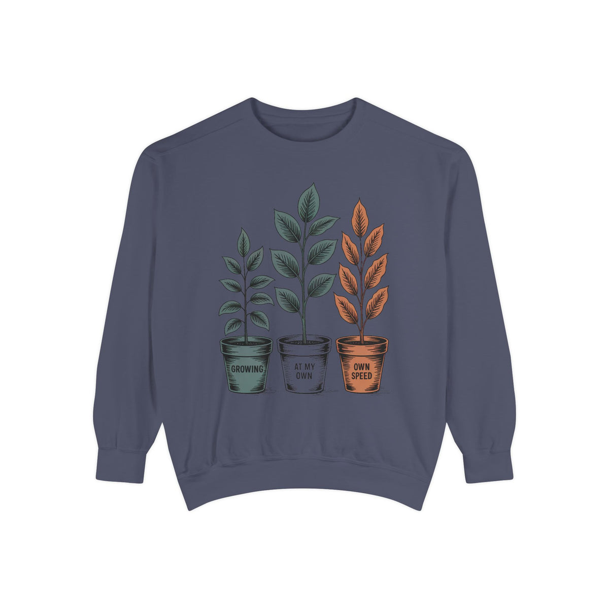 Self Encouragement Sweatshirt, Growing At My Own Speed Crewneck, Positive Affirmation Gift, Faith Based Sweatshirt, Personal Growth Gift Fo…