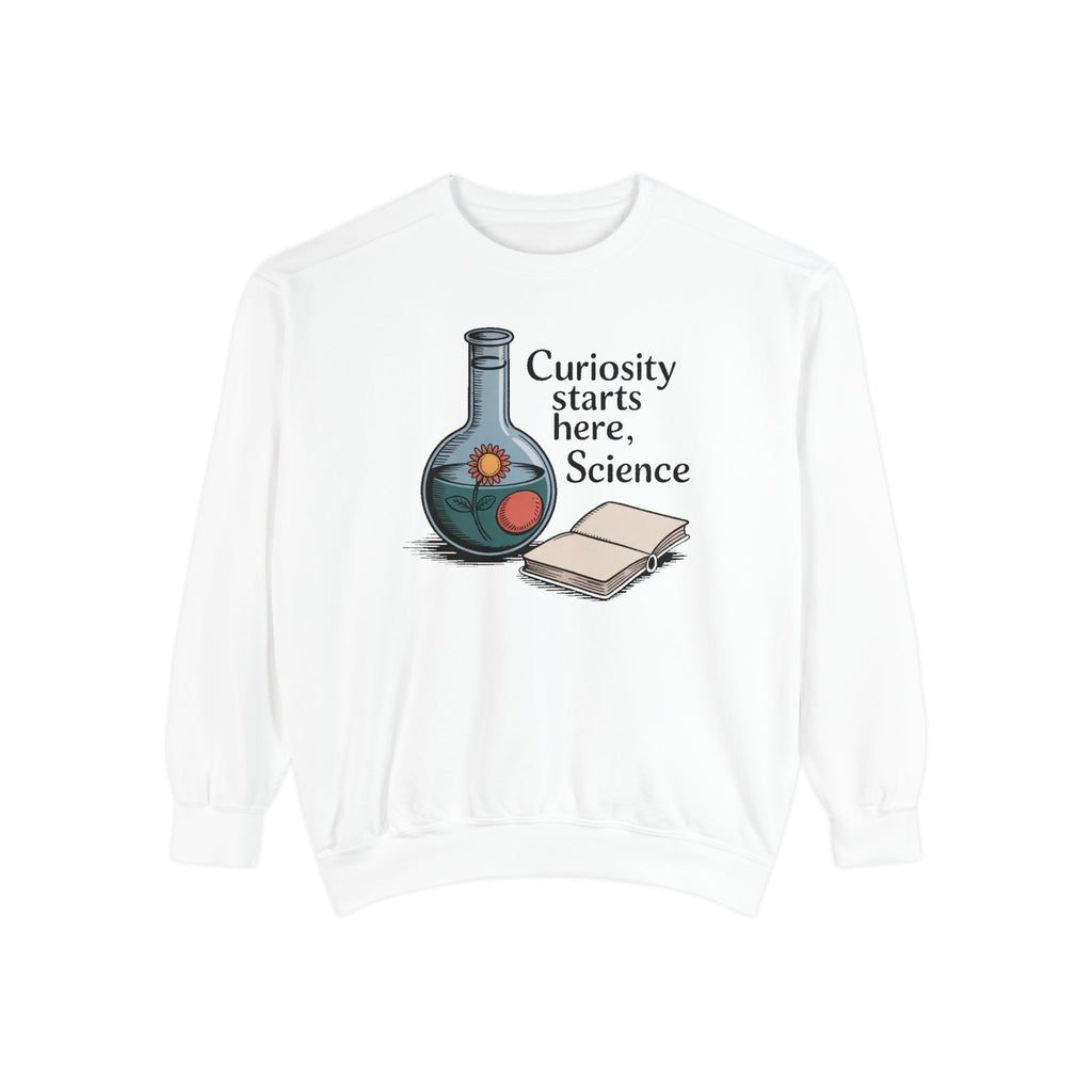 Science Teacher Sweatshirt, Back to School Gift For Science Teacher, Curiosity Starts Here Crewneck, Vintage Lab Flask Tee, Science Teacher…