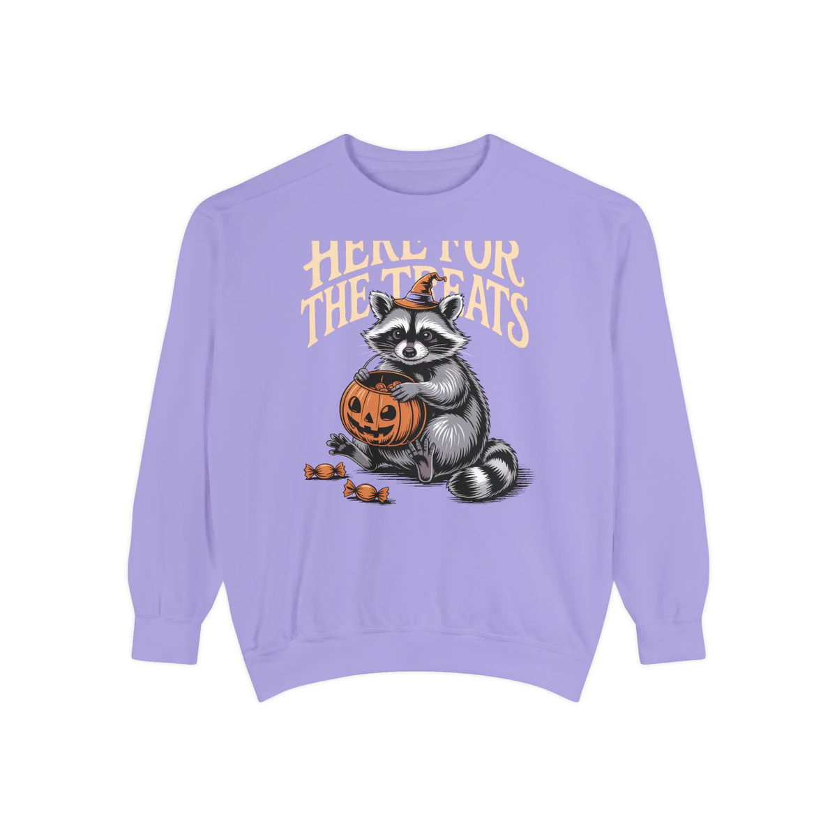 Here For The Treats Raccoon Sweatshirt, Funny Halloween Crewneck, Vintage Trick Or Treat Raccoon Shirt, Spooky Season Gift