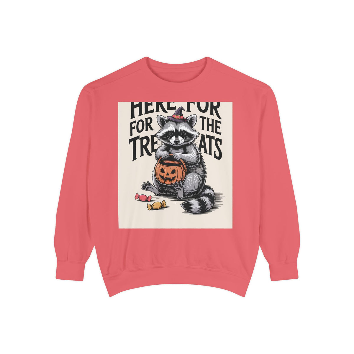 Here For The Treats Raccoon Sweatshirt, Funny Halloween Crewneck, Vintage Witch Raccoon Candy Sweatshirt, Spooky Season Gift