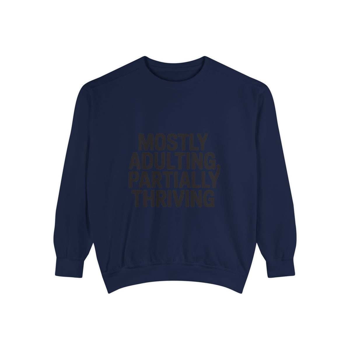 Mostly Adulting Partially Thriving Sweatshirt, Funny Embroidered Crewneck, Sarcastic Adult Life Gift, Minimalist Text Sweatshirt