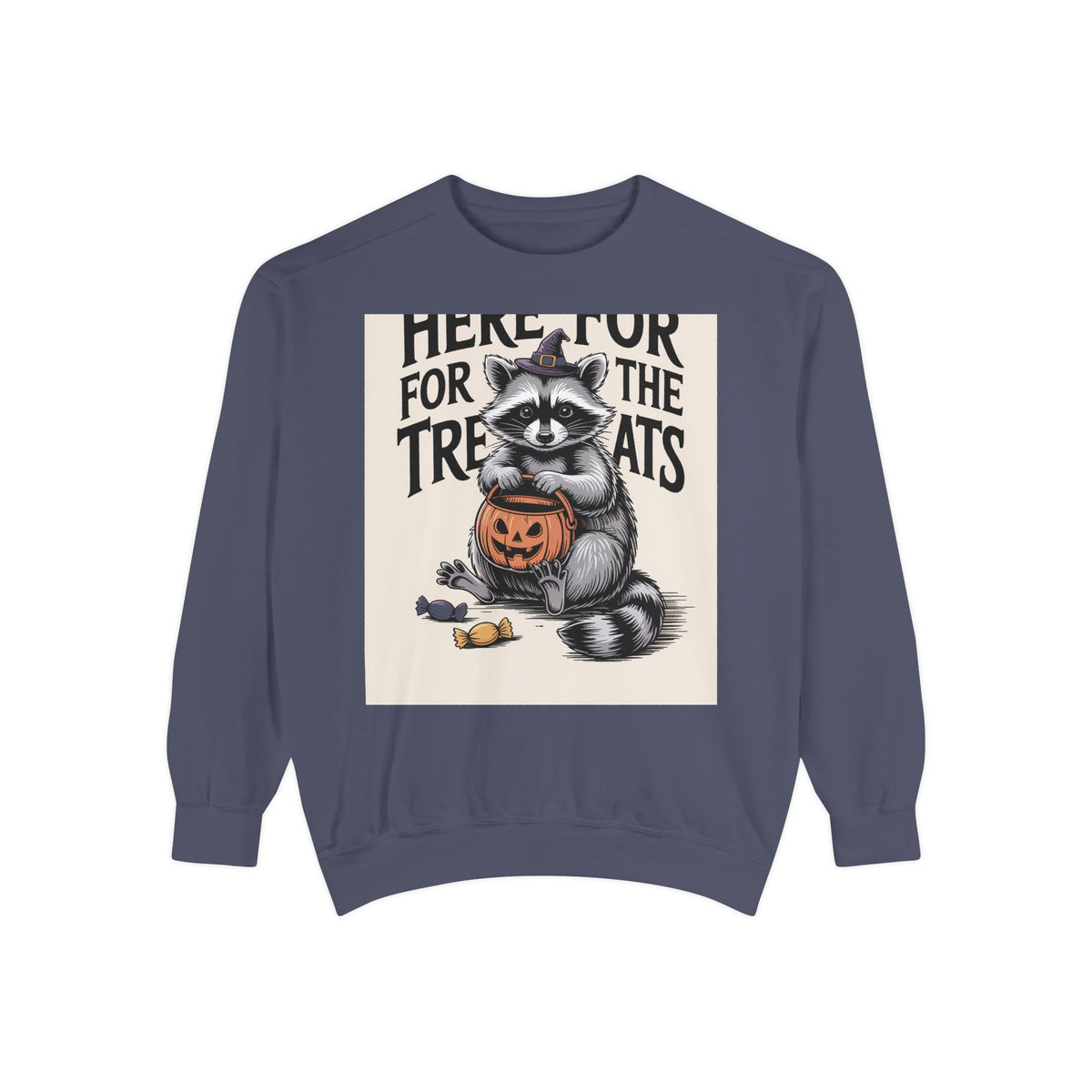 Here For The Treats Raccoon Sweatshirt, Funny Halloween Crewneck, Vintage Witch Raccoon Candy Sweatshirt, Spooky Season Gift