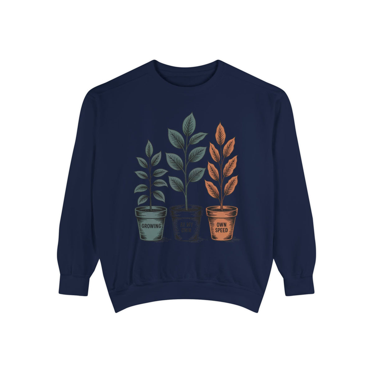 Self Encouragement Sweatshirt, Growing At My Own Speed Crewneck, Positive Affirmation Gift, Faith Based Sweatshirt, Personal Growth Gift Fo…