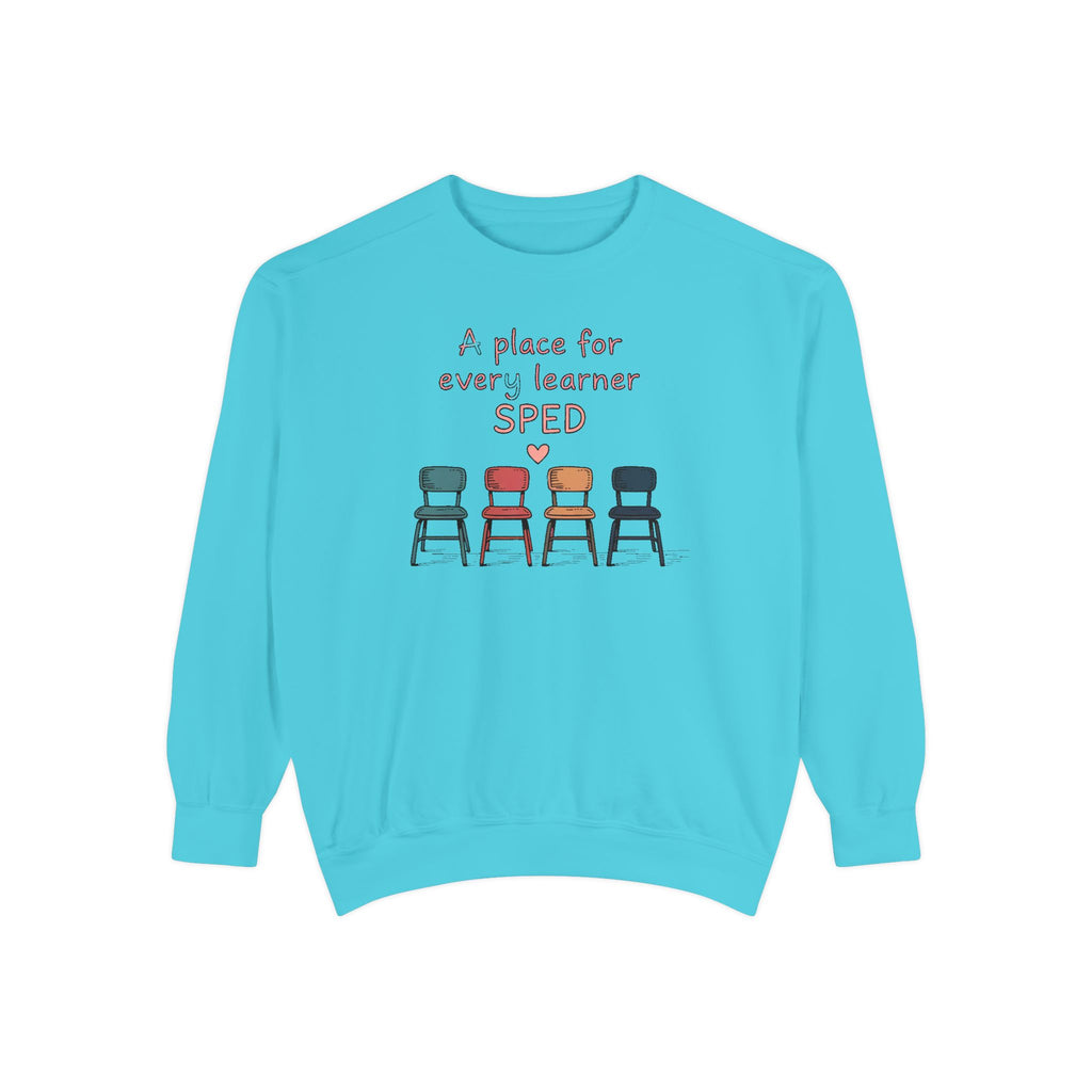 SPED Teacher Sweatshirt, A Place For Every Learner, Back To School Gift For Special Education Teacher, Inclusion Classroom Tee