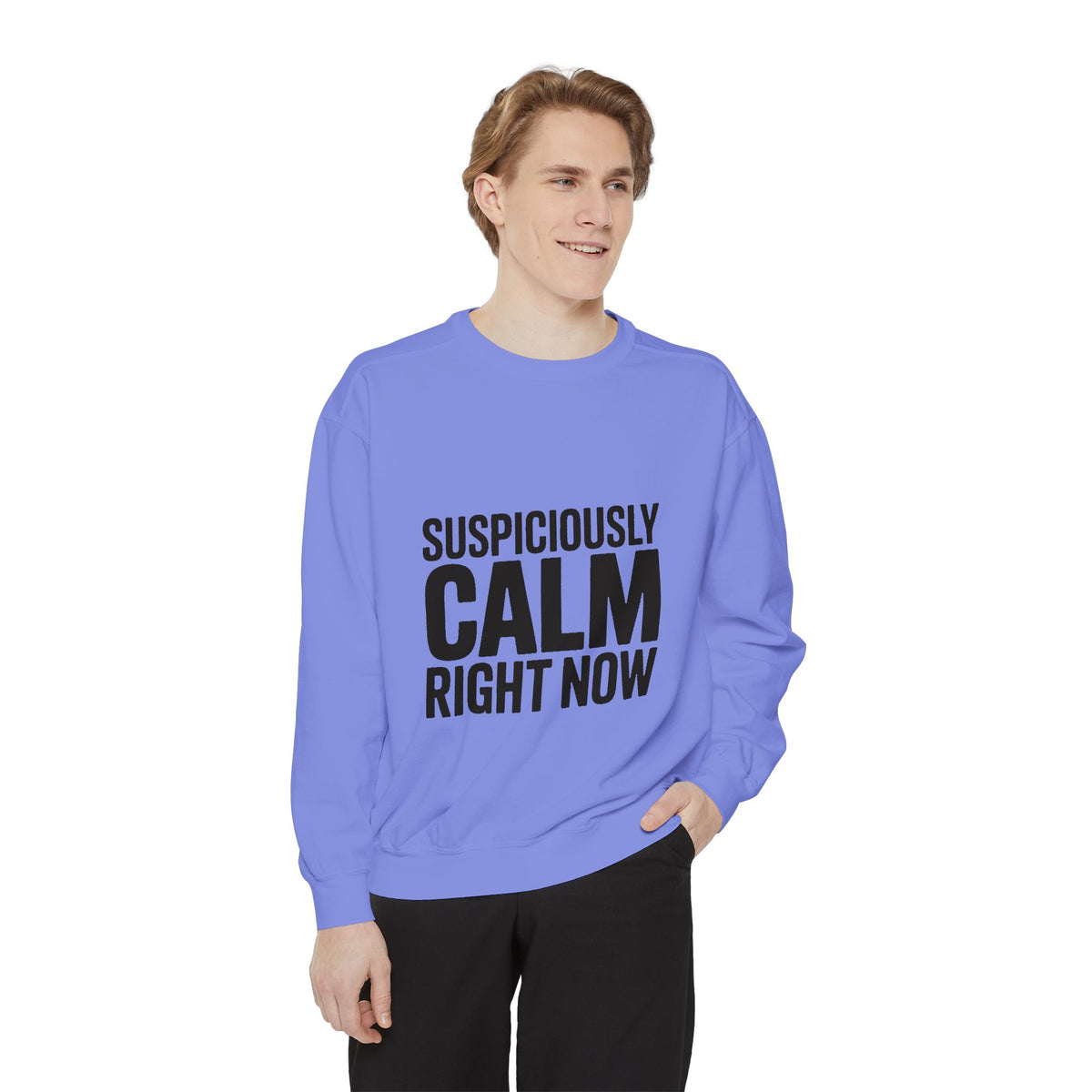 Suspiciously Calm Right Now Sweatshirt, Funny Sarcastic Crewneck, Bold Text Embroidered Patch Style Pullover, Sarcasm Gift