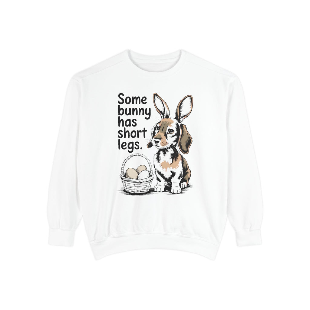 Dachshund Owner Sweatshirt, Some Bunny Has Short Legs, Funny Easter Gift For Dog Mom, Wiener Dog Easter Sweatshirt, Dachshund Easter Tee