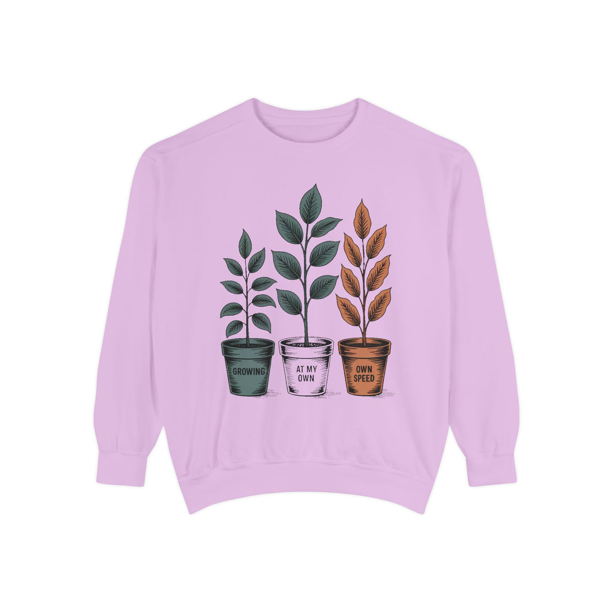 Self Encouragement Sweatshirt, Growing At My Own Speed Crewneck, Positive Affirmation Gift, Faith Based Sweatshirt, Personal Growth Gift Fo…