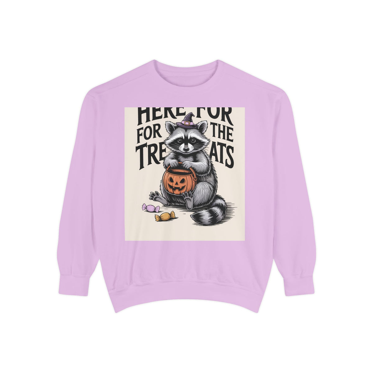 Here For The Treats Raccoon Sweatshirt, Funny Halloween Crewneck, Vintage Witch Raccoon Candy Sweatshirt, Spooky Season Gift