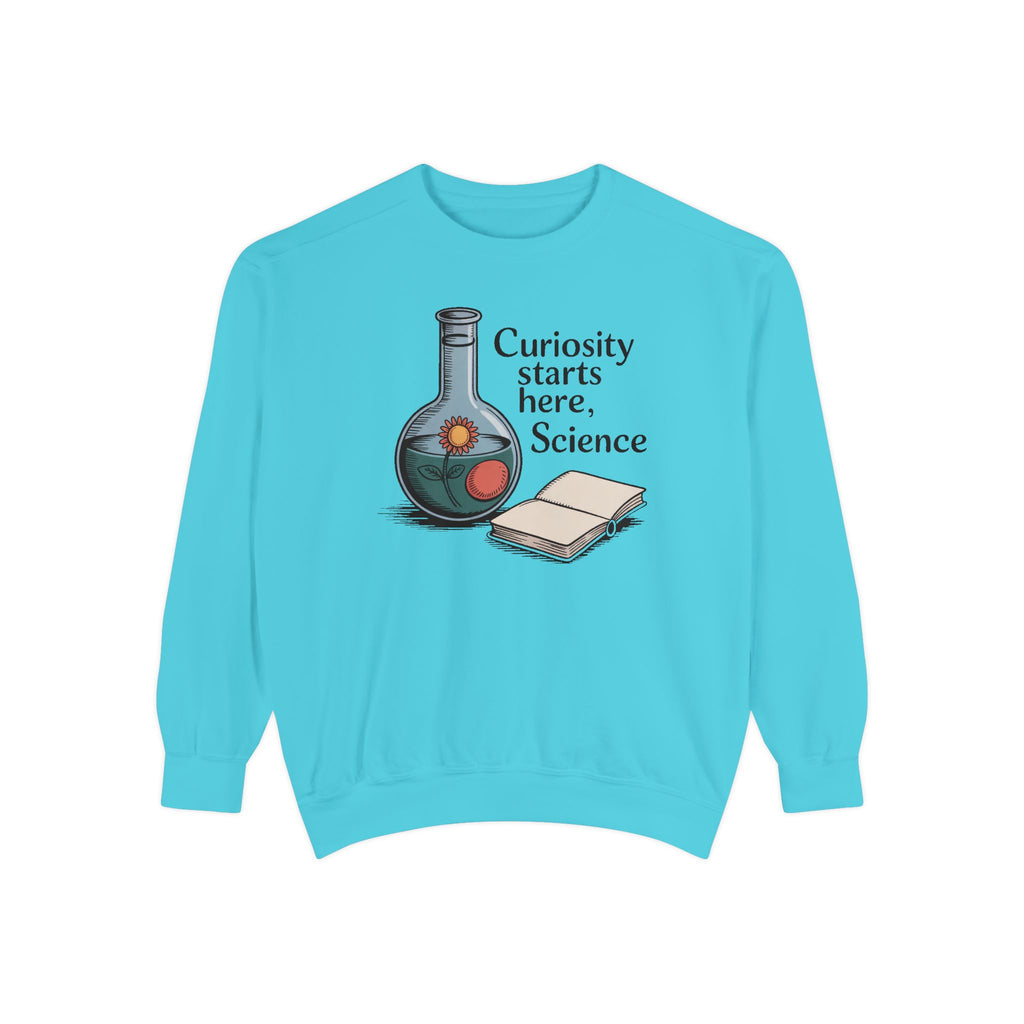 Science Teacher Sweatshirt, Back to School Gift For Science Teacher, Curiosity Starts Here Crewneck, Vintage Lab Flask Tee, Science Teacher…