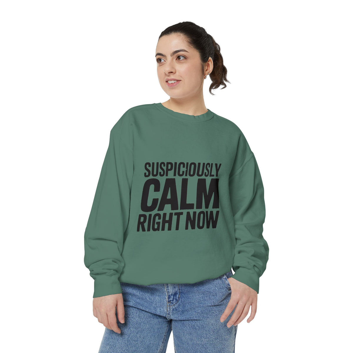 Suspiciously Calm Right Now Sweatshirt, Funny Sarcastic Crewneck, Bold Text Embroidered Patch Style Pullover, Sarcasm Gift