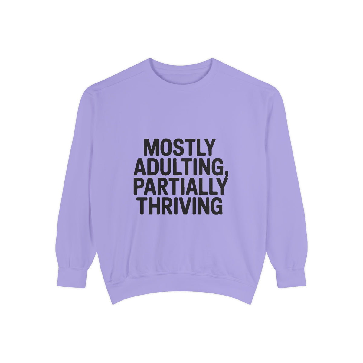 Mostly Adulting Partially Thriving Sweatshirt, Funny Embroidered Crewneck, Sarcastic Adult Life Gift, Minimalist Text Sweatshirt