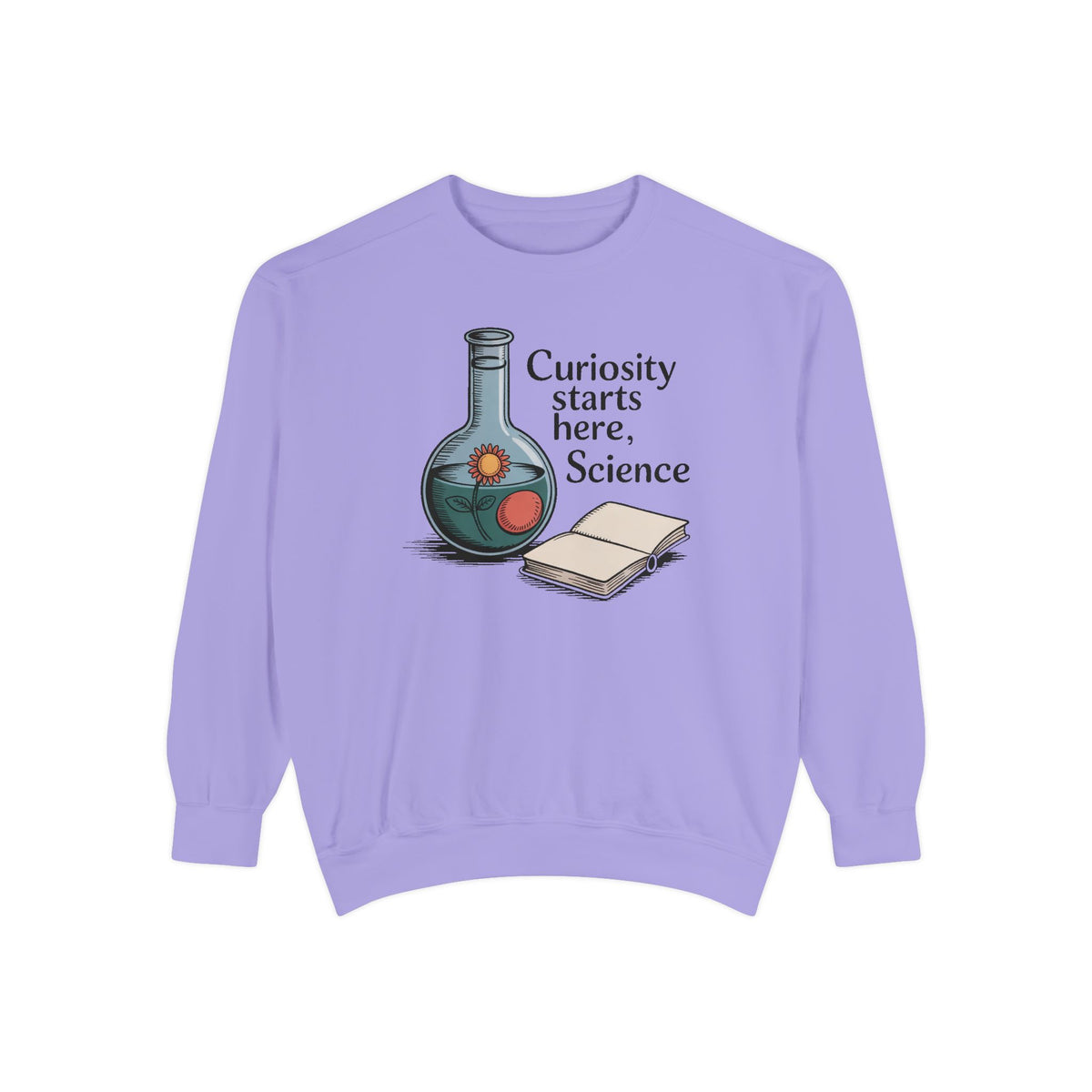 Science Teacher Sweatshirt, Back to School Gift For Science Teacher, Curiosity Starts Here Crewneck, Vintage Lab Flask Tee, Science Teacher…