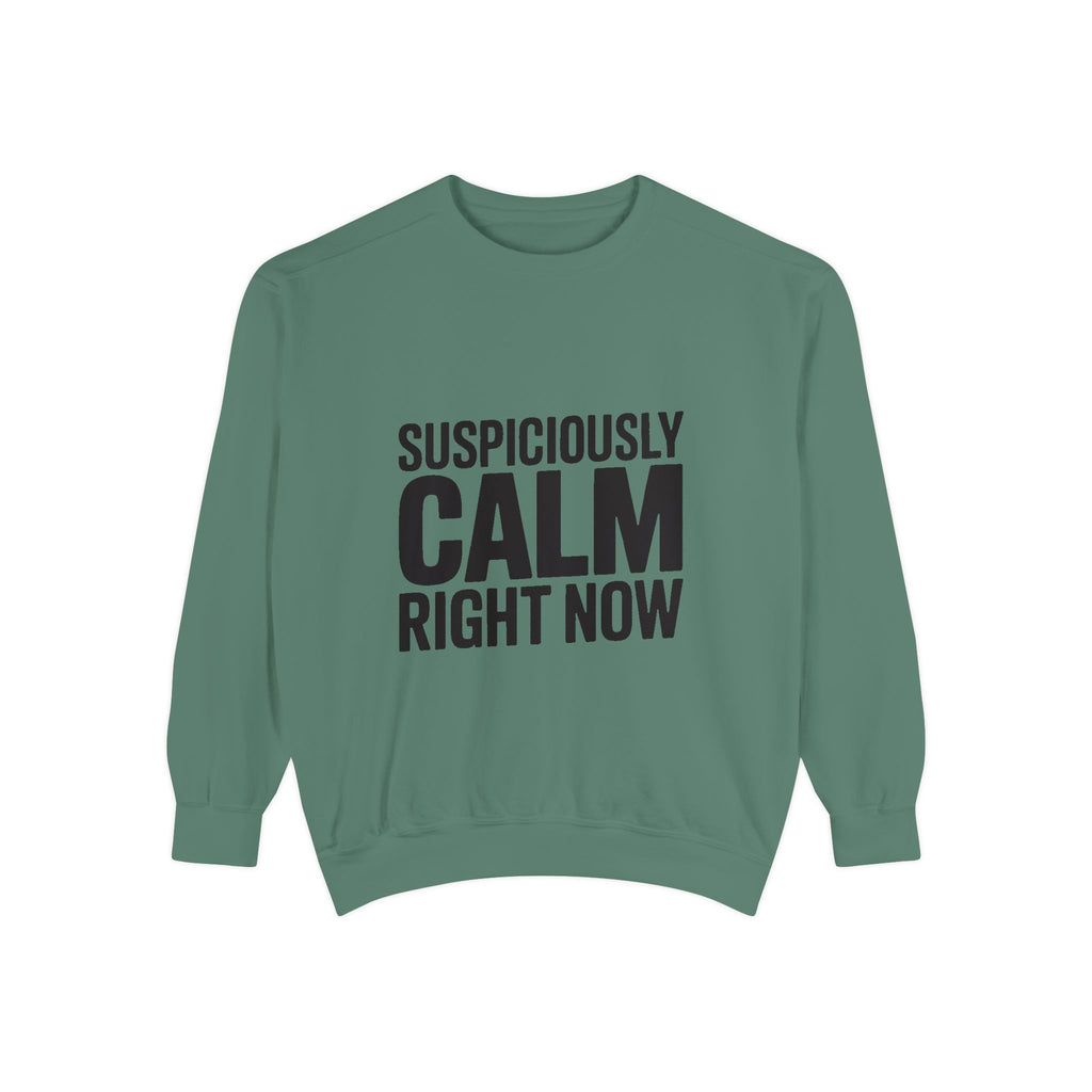 Suspiciously Calm Right Now Sweatshirt, Funny Sarcastic Crewneck, Bold Text Embroidered Patch Style Pullover, Sarcasm Gift