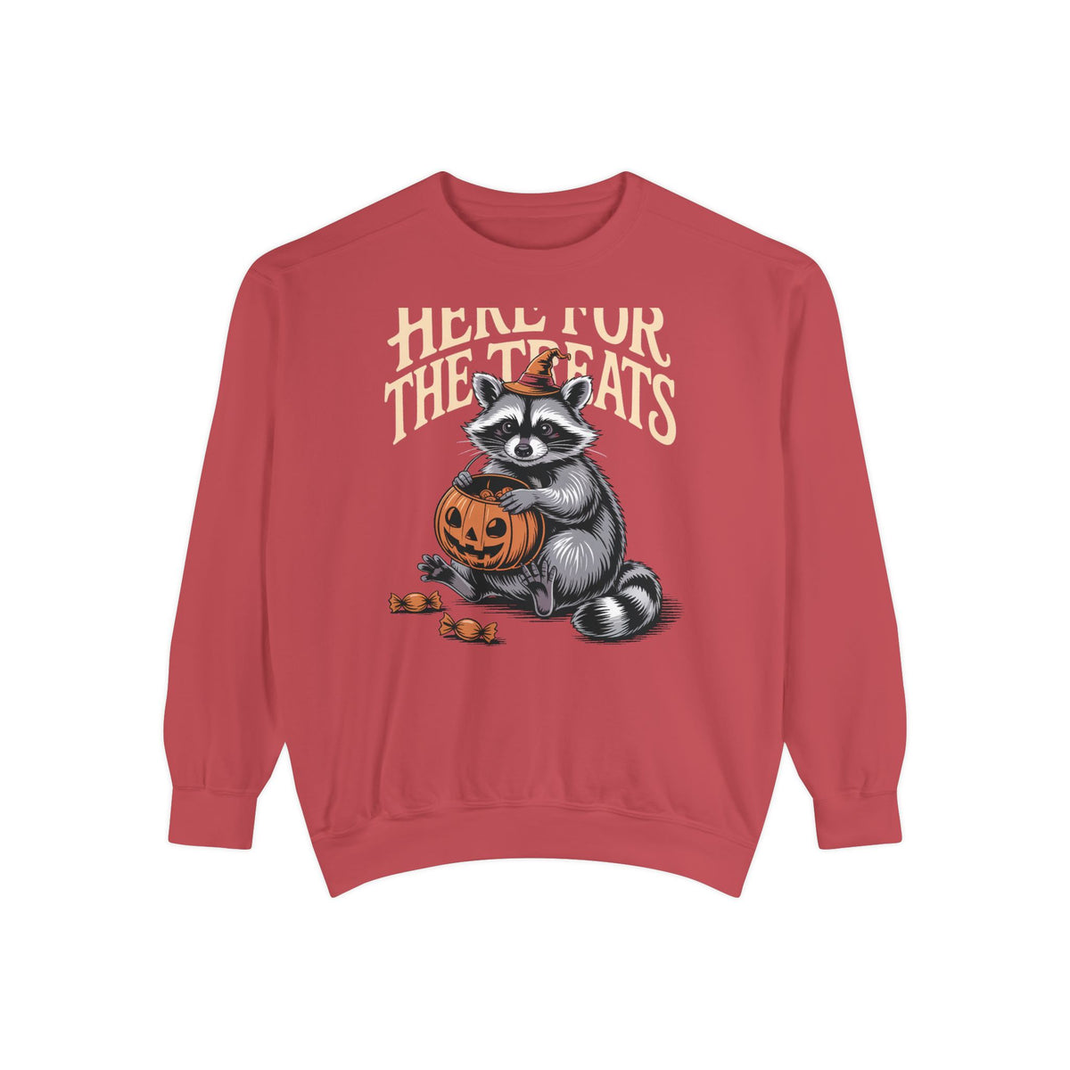 Here For The Treats Raccoon Sweatshirt, Funny Halloween Crewneck, Vintage Trick Or Treat Raccoon Shirt, Spooky Season Gift