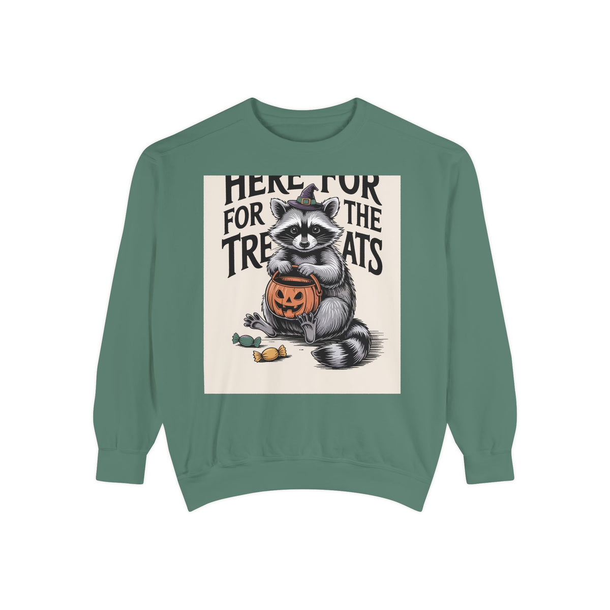 Here For The Treats Raccoon Sweatshirt, Funny Halloween Crewneck, Vintage Witch Raccoon Candy Sweatshirt, Spooky Season Gift