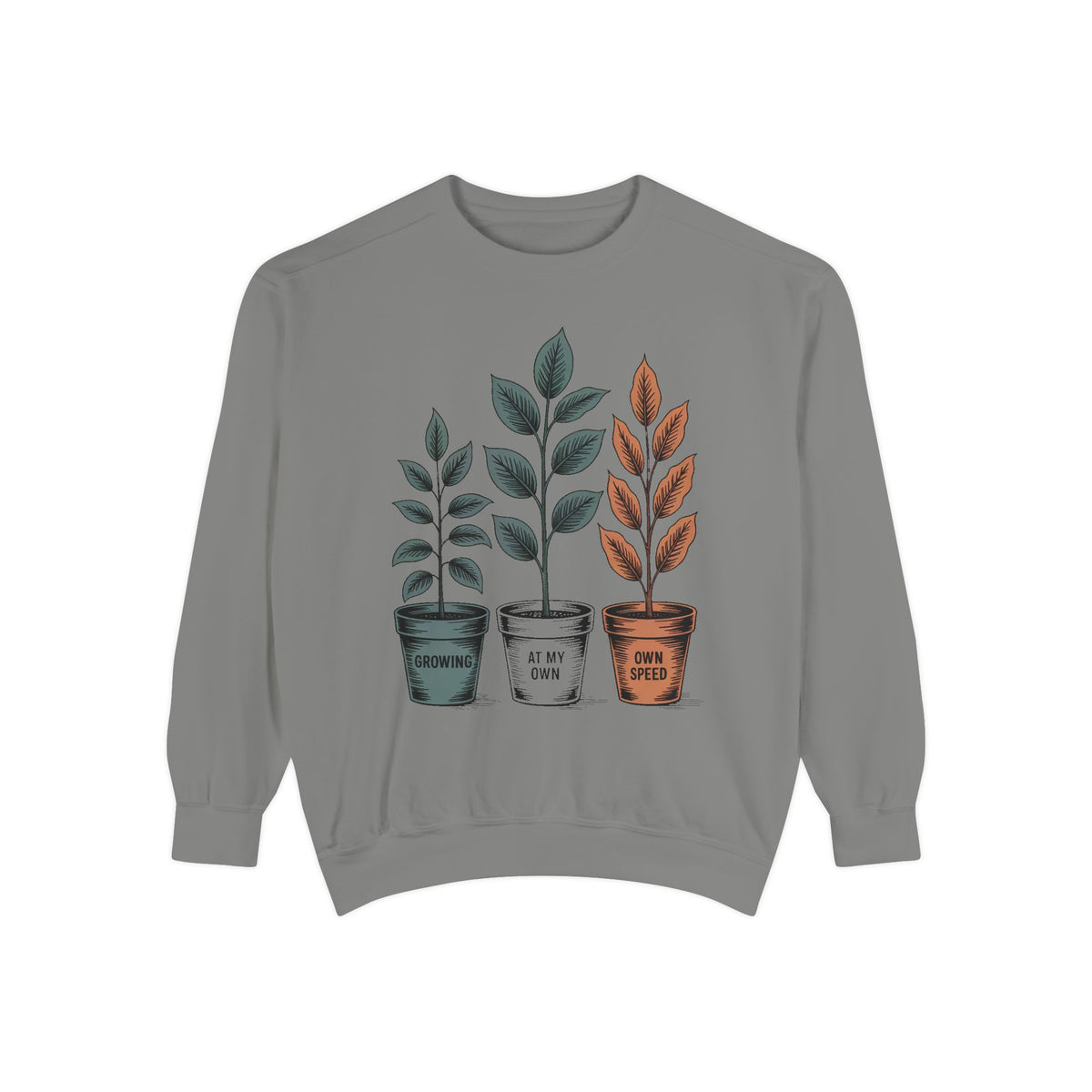 Self Encouragement Sweatshirt, Growing At My Own Speed Crewneck, Positive Affirmation Gift, Faith Based Sweatshirt, Personal Growth Gift Fo…