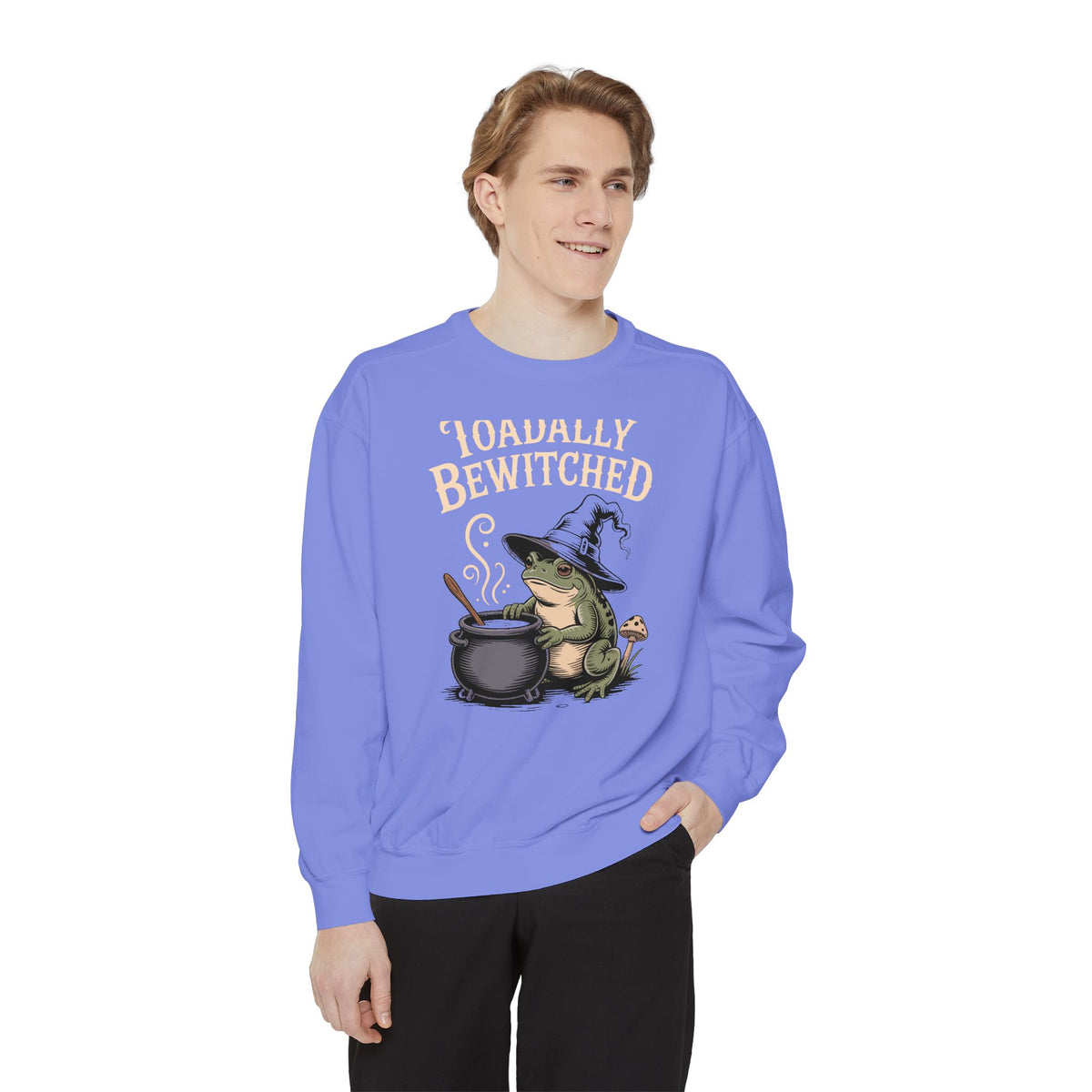 Toadally Bewitched Sweatshirt, Funny Witch Toad Halloween Crewneck, Vintage Storybook Frog Witch Gift, Spooky Season Sweatshirt