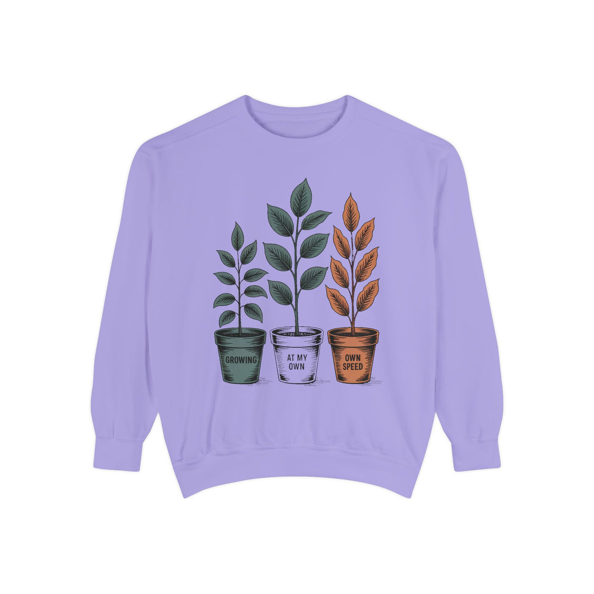 Self Encouragement Sweatshirt, Growing At My Own Speed Crewneck, Positive Affirmation Gift, Faith Based Sweatshirt, Personal Growth Gift Fo…